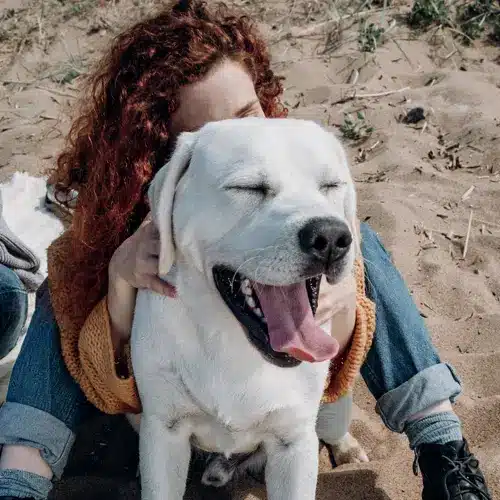 Impresiones de Huellas para perros