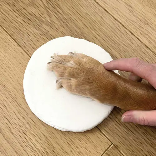 Impresiones de Huellas para Mascotas